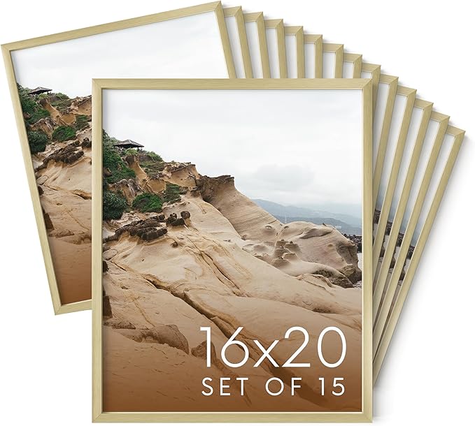 HAUS AND HUES 16x20 Gold Metal Picture Frames - Features Premium Aluminum, Vertical & Horizontal Hang, Shatterproof Plexiglass - Perfect for Home, Room, Office (16x20 in, Gold, Set of 15)