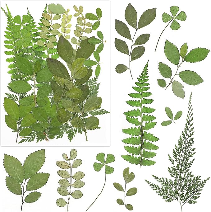 170Pcs+ Real Dried Pressed Flowers Leaves Petals for Crafts-Beautiful Pressed Flowers Daisies for Resin Jewellery, Pressed Flowers Nail Pendant Crafts Making Craft DIY Accessories with 1pcs Tweezers