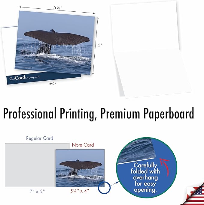 The Best Card Company - 10 All Occasion Blank Cards (4 x 5.12 Inch) - Nautical, Ocean, Sea Life Assortment of Notecards - Tales AM6839OCB-B1x10