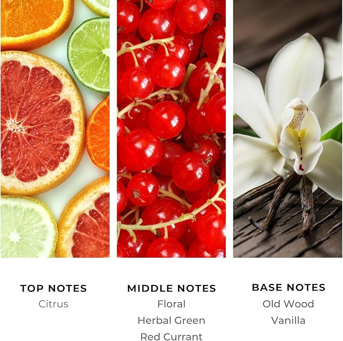 Brilliant Scents Currant Infusion Fragrance Oil 200ml - Premium Diffuser Oil for Home, Office, Hotels - Long Lasting, Plant-Based, Meets IFRA Standards, USA-Made - Red Currant, Citrus, Vanilla