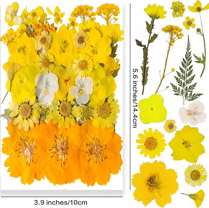 YouthBro Yellow Dried Pressed Flowers for Resin Molds,Real Natural Pressed Flowers for DIY Art Crafts,Candle Making, Nails Décor,Soap Making, Phone Case