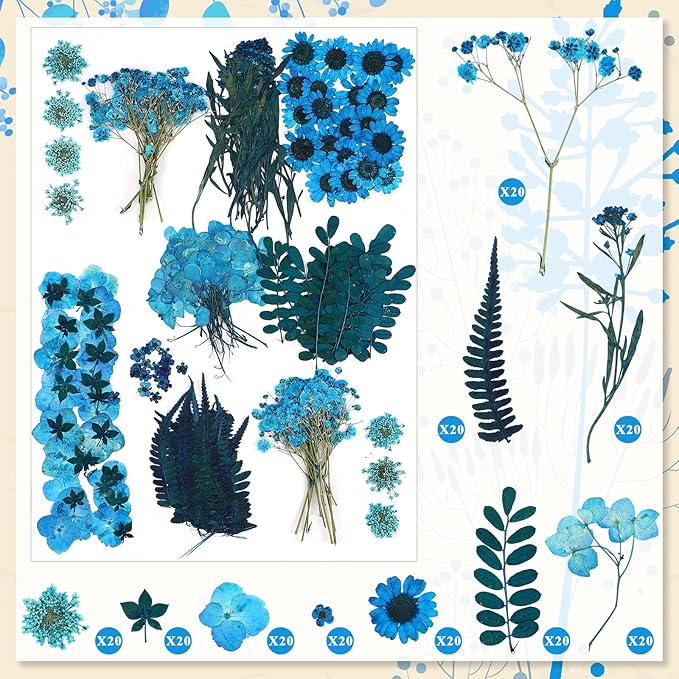 Fabbay 200 Pcs Dried Pressed Flowers Real Dry Natural Flower Leaf Dried Flowers for Resin Pressed Flower Kit for Plant Herbarium Scrapbooking DIY Candle Crafts (Blue)