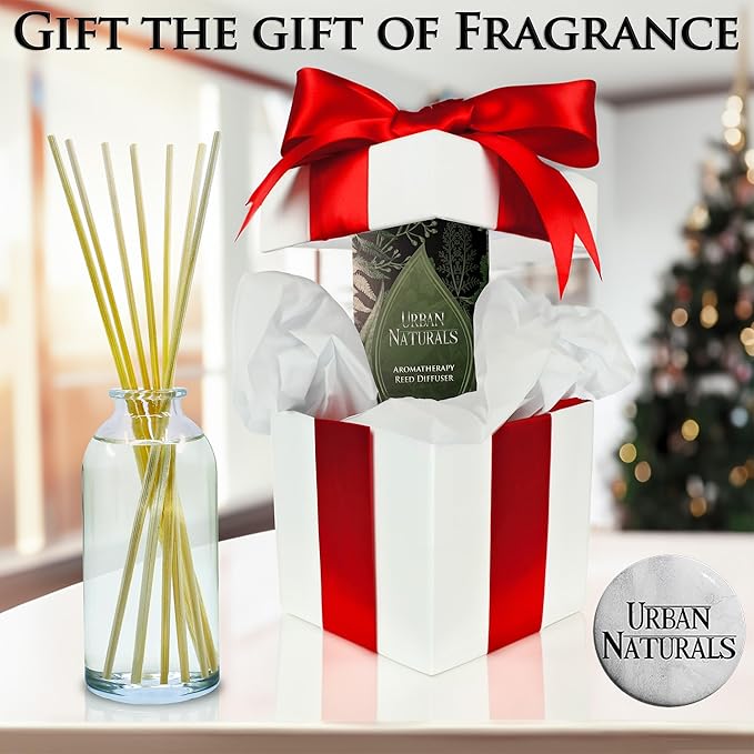 Urban Naturals Pine Forest Reed Diffuser Set - White Pine Needles, Eucalyptus and Sandalwood - Christmas Tree Scent - Holiday Decor with Real Pine Branches