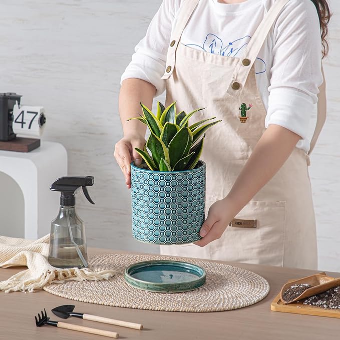 6 Inch Plant Pot: Ceramic Planter with Drainage Hole & Saucer Indoor Outdoor Plants - Cylinder Round Flower Pot for Home Office - Modern Decorative - Small Blue