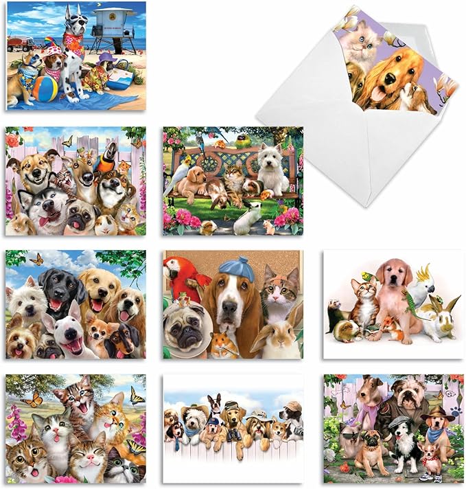 The Best Card Company - 10 Blank Animal Cards Boxed (4 x 5.12 Inch) - Assorted Pets, Zoo, Wildlife Cards for Kids - Off the Leash M6641OCB