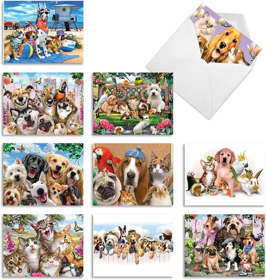 The Best Card Company - 10 Blank Animal Cards Boxed (4 x 5.12 Inch) - Assorted Pets, Zoo, Wildlife Cards for Kids - Off the Leash M6641OCB