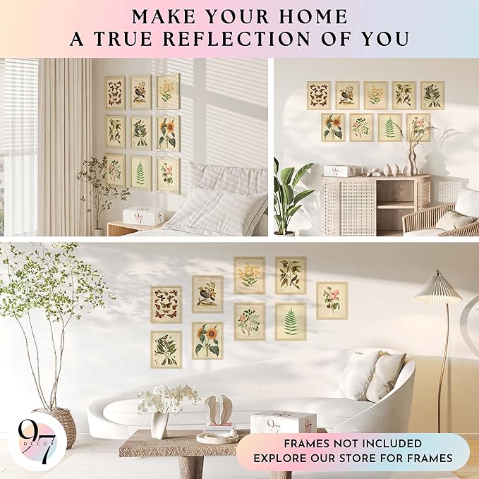 97 Decor Vintage Botanical Wall Art Decor - Plant Posters For Room Aesthetic, Vintage Botanical Prints Nature Wall Decor, Floral Pictures Butterfly Bird Art For Home Bedroom Decoration (8x10 Unframed)