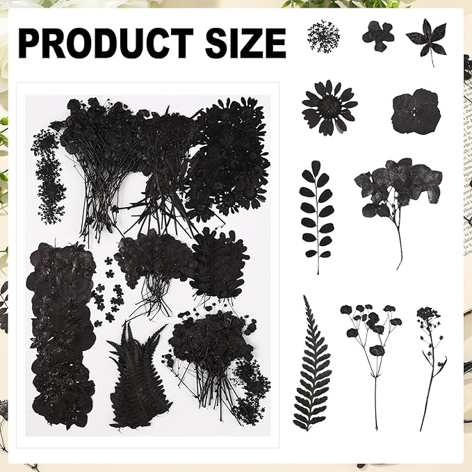 Fabbay 200 Pcs Dried Pressed Flowers Real Dry Natural Flower Leaf Dried Flowers for Resin Pressed Flower Kit for Plant Herbarium Scrapbooking DIY Candle Crafts (Black)