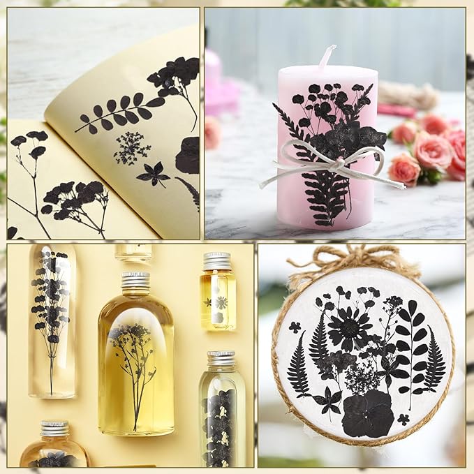 Fabbay 200 Pcs Dried Pressed Flowers Real Dry Natural Flower Leaf Dried Flowers for Resin Pressed Flower Kit for Plant Herbarium Scrapbooking DIY Candle Crafts (Black)