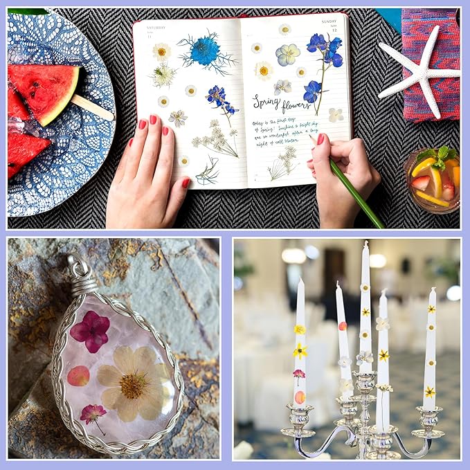 Nuanchu Dried Flower for Crafts Resin Pressed Flowers Bulk Real Dried Wildflowers Leave Natural with Tweezer for Resin Mold Scrapbooking Nail Soap Candle Cake Card Making DIY Craft Christmas Supplies
