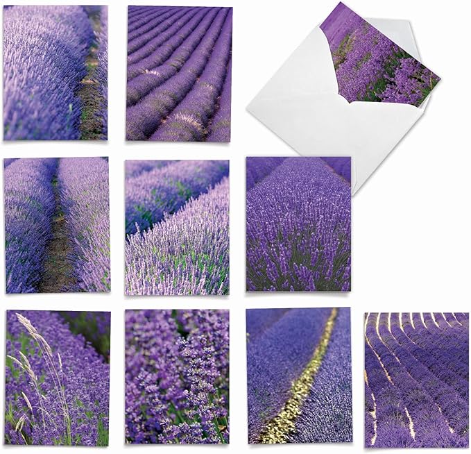 The Best Card Company - 10 Blank Note Cards with Flowers for Women (4 x 5.12 Inch) - Floral Notecards, All Occasion Boxed Assortment - Lavender Fields Forever M2017