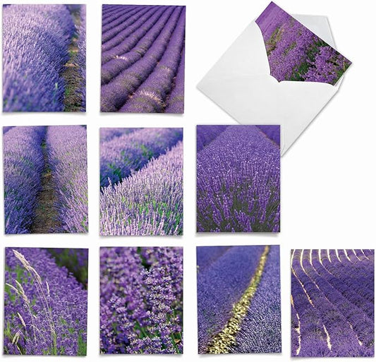 The Best Card Company - 10 Blank Note Cards with Flowers for Women (4 x 5.12 Inch) - Floral Notecards, All Occasion Boxed Assortment - Lavender Fields Forever M2017