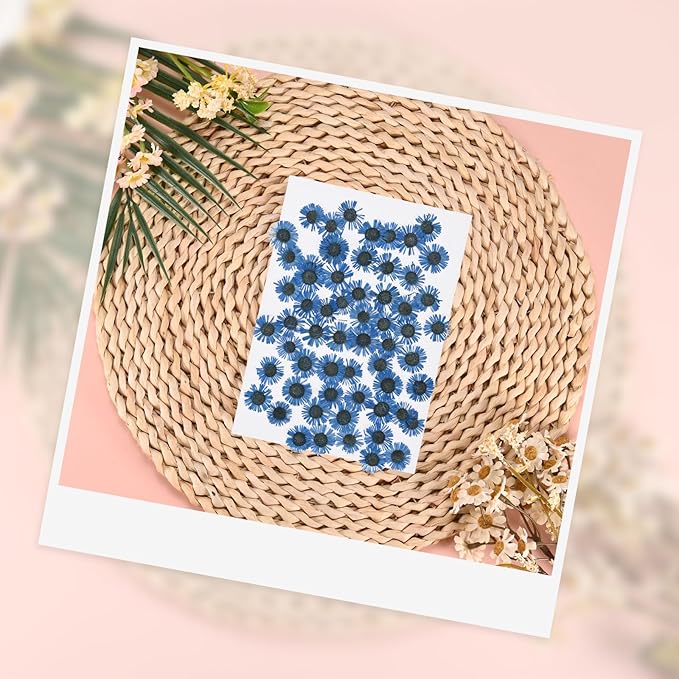 12-Pack Dried Pressed Flowers for Resin, Real Natural Bulk Dry Floral for Crafts/DIY Jewelry/Soap Making/Scrapbooking/Candle/Epoxy Resin Supplies/Photo Frames [Blue]