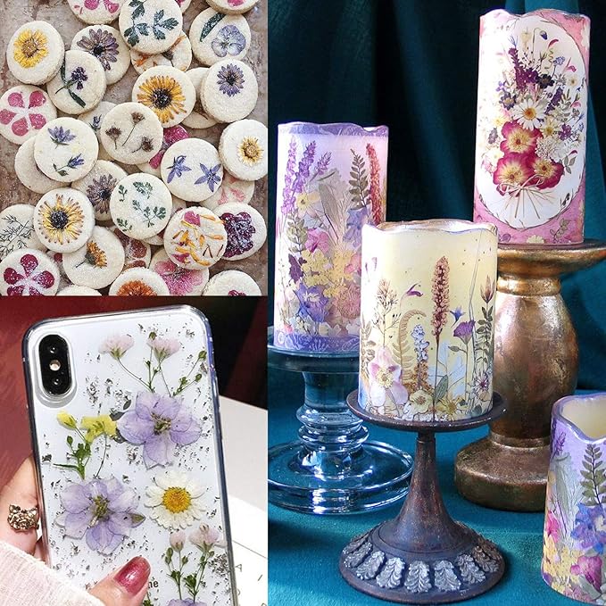 Cinvo 90 Pcs Real Dried Pressed Flowers and Leaves Natural Dried Petals for Candle Resin Jewelry Soap Nail Pendant Phone Case Crafts Making Floral Decors Scrapbooking DIY(Blue, Purple, Pink, Green)