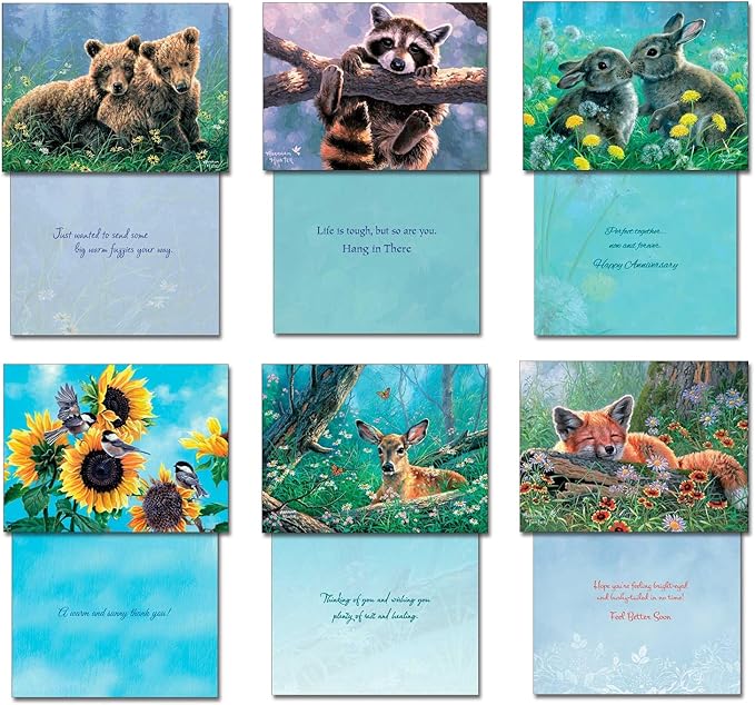 Leanin' Tree, Nature's Wonders, Greeting Cards Assortment Box, Assorted Cards with Envelopes, All Occasion, 20 Cards, 22 Envelopes