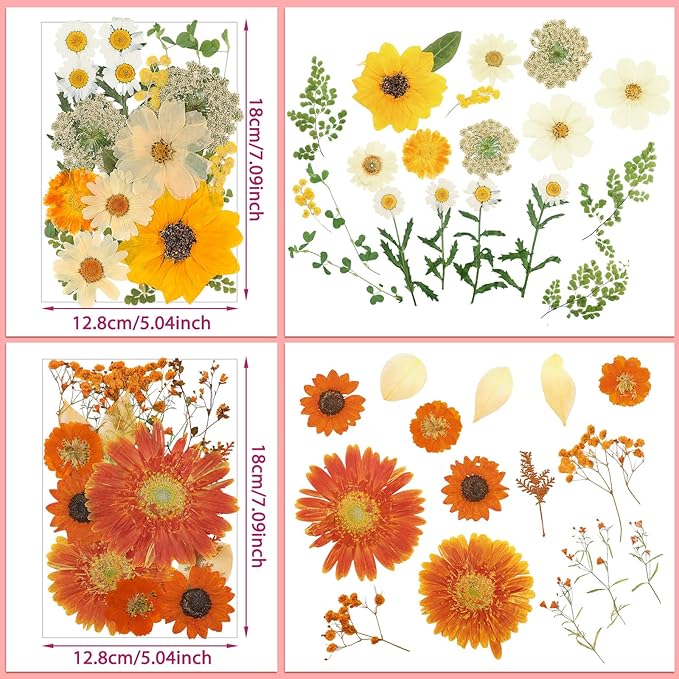 Nuanchu Dried Flower for Crafts Resin Pressed Flowers Bulk, Large Dried Wildflowers Leave Natural with Tweezer for Resin Mold Scrapbooking Nail Soap Candle Making Cake DIY Christmas Crafts Supplies