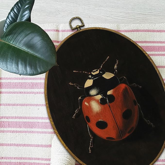 Mcehtle Moody Ladybug Wall Art Decor, Vintage Dark Academia Nature Insect Oval Framed Canvas Prints 8.6x11.4, Minimalist Botanical Bug Wall Hanging Artwork Decorations for Home Bedroom Gallery