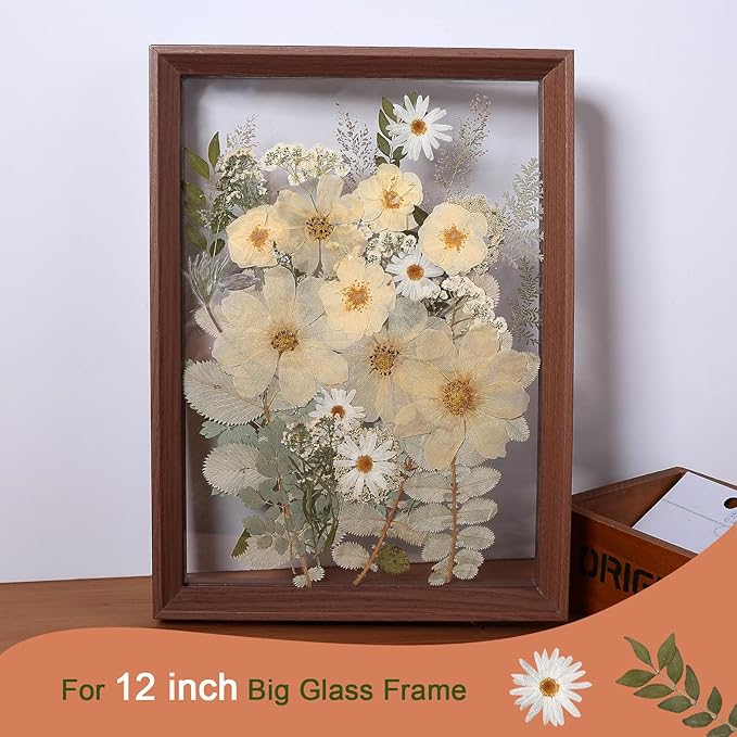 12“ Large Dried Pressed Flowers for Art Crafts, Real Dry Natural Flower Leaf Fruit Bulk for Resin Mold, Cake Decor, Glass Frame (Winter Silver)
