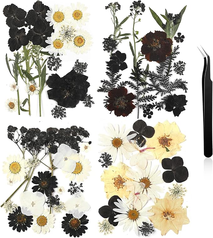 Nuanchu Black Dried Pressed Flowers for Crafts Gothic Dried Flowers Bulk Natural Pressed Wildflowers with Tweezer for Resin Mold Scrapbooking Nail Soap Candle Making DIY Scrapbook Halloween Supplies