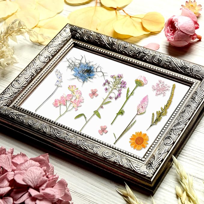 Nuanchu Dried Flower for Crafts Resin Pressed Flowers Bulk, Real Dried Wildflowers Leave Natural with Tweezer for Resin Mold Scrapbooking Nail Soap Candle Cake Card Making Christmas Craft DIY Supplies