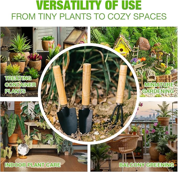 Mini Garden Tools Set, 3 Pcs Small Gardening Kit with Trowel, Shovel & Rake, Rust-Resistant Metal with Wooden Handle, Indoor Plant Tools for Succulents, Bonsai & Potted Plants