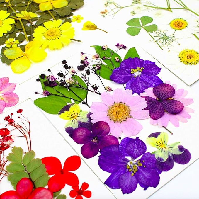 92 Pcs Purple Dried Pressed Flowers Real Natural Leave Petals for DIY Resin Candle Jewelry Nail Crafts
