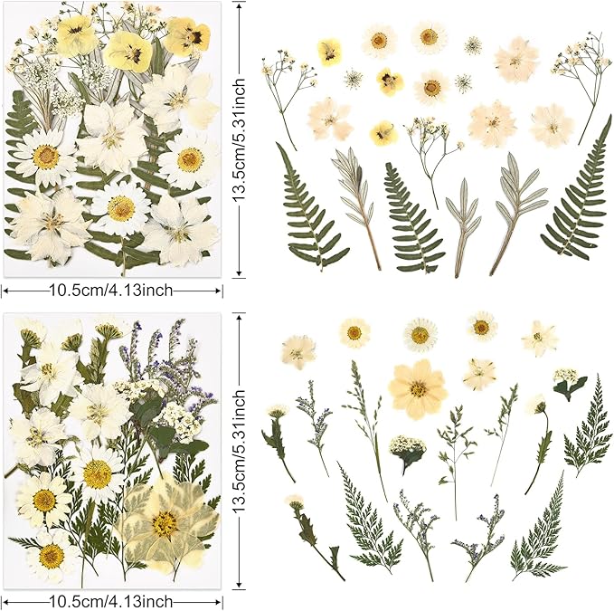 DALARAN 85Pcs White Dried Pressed Flowers for Resin Molds Real Pressed Flowers Dry Leaves Kit for Art Crafts Resin Jewelry Making Scrapbook Supplies Card Making Soap Candle DIY