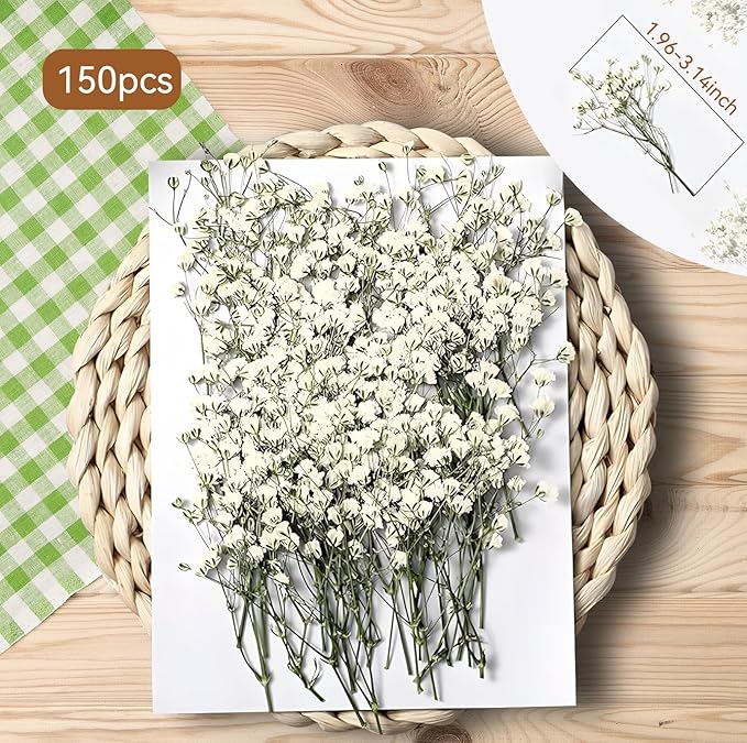 150Pcs Mini Dried Pressed White Baby’s Breath Flowers Bulk - Real Natural Flat Flowers for Epoxy Craft, Scrapbooking, Wedding Invitations, Home Decor, DIY Gifts for Crafters & Event Planners (150)