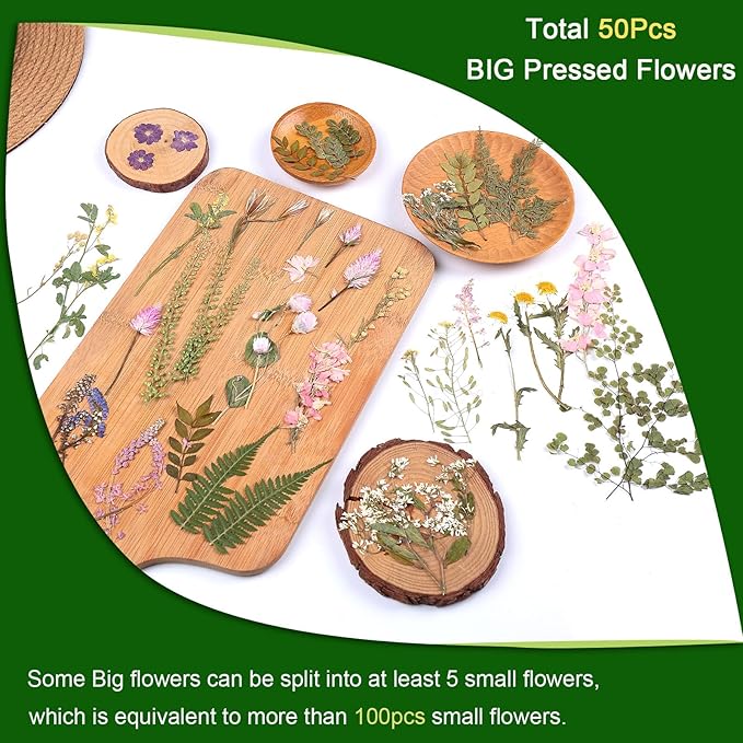 Large Dried Pressed Flowers for Art Crafts, Real Dry Natural Flower Leaf Fruit Bulk for Resin Mold, Cake Decor, Glass Frame (Spring Garden)