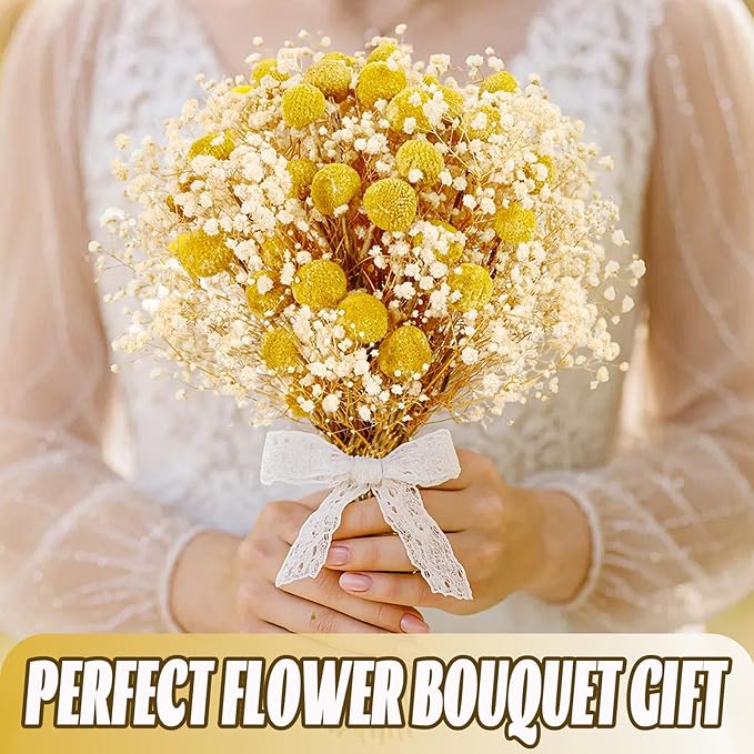 50 Pcs Dried Billy Balls & White Baby’s Breath Flowers, 16" 30Pcs Dried Yellow Craspedia & 20Pcs White Gypsophila Flowers, Rustic Boho Farmhouse Decor, Wedding, Cake, Tall Vase Decoration, DIY Crafts