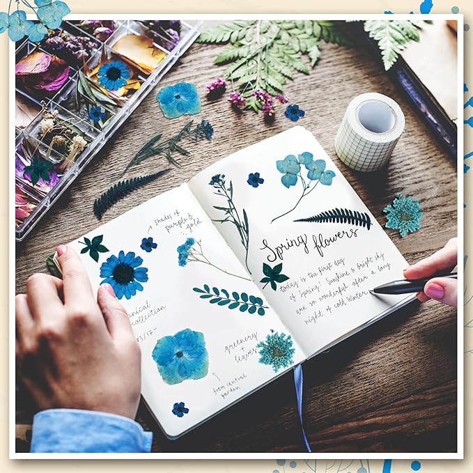 Fabbay 200 Pcs Dried Pressed Flowers Real Dry Natural Flower Leaf Dried Flowers for Resin Pressed Flower Kit for Plant Herbarium Scrapbooking DIY Candle Crafts (Blue)