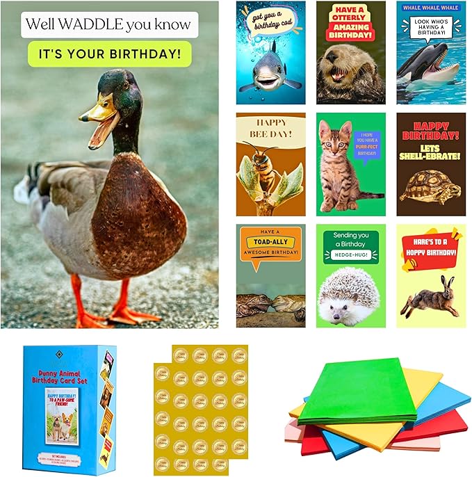 Imperial Designs 40 Pack Funny Punny Birthday Cards with Envelopes and Stickers - 20 Unique Designs - for Kids, Office, Teachers - Assorted Bulk Animal Birthday Cards (Medium, 4x6'', Blank Inside)