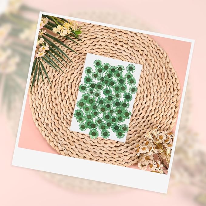 12-Pack Dried Pressed Flowers for Resin, Real Natural Bulk Dry Floral for Crafts/DIY Jewelry/Soap Making/Scrapbooking/Candle/Epoxy Resin Supplies/Photo Frames [Green]
