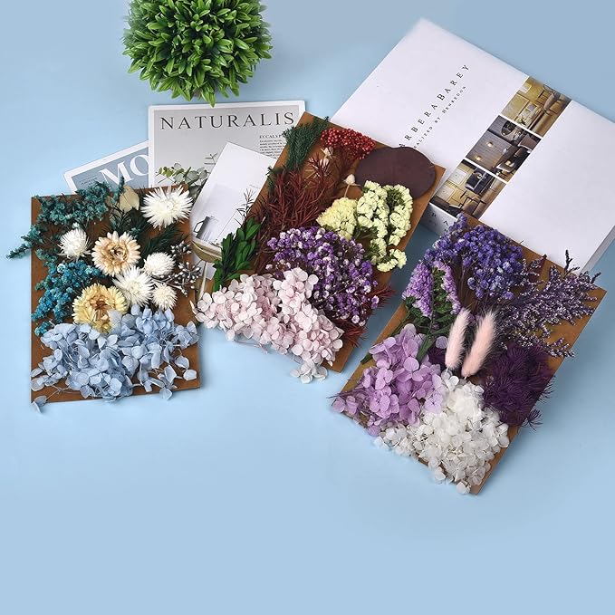 DALARAN 3 Pack Real Dried Pressed Leaf Flowers-Multiple Colorful Pressed Flowers Daisies Hydrangeas for Craft Resin Jewelry Making Art Craft DIY