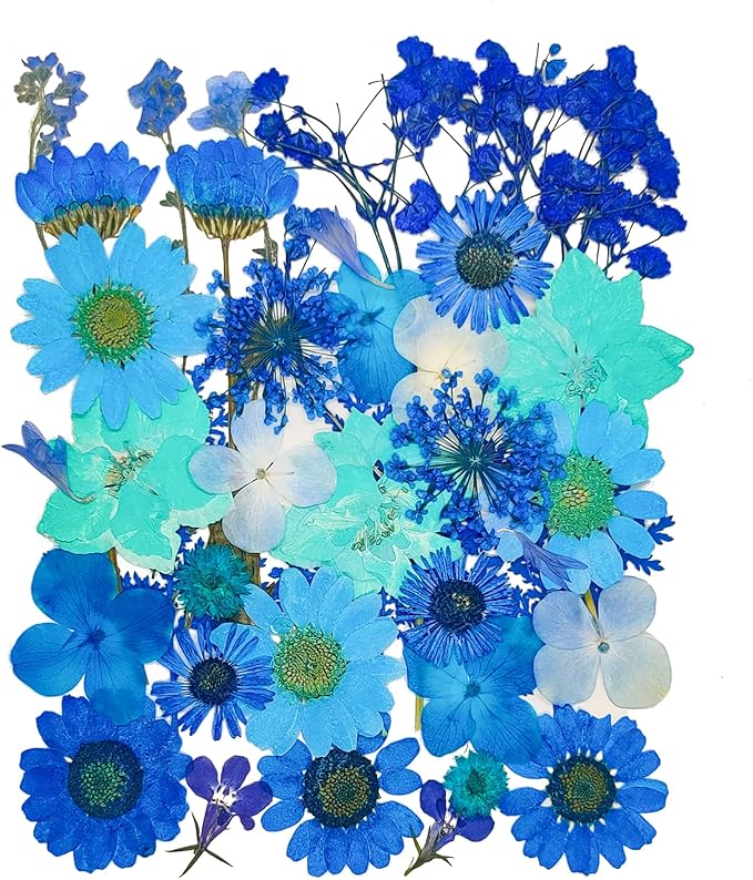 14 Types 37pcs Blue Dried Pressed Flowers for Resin Molds,YouthBro Real Natural Pressed Flowers for DIY Art Crafts,Candle Making, Nails Décor,Soap Making, Phone Case
