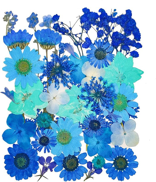 14 Types 37pcs Blue Dried Pressed Flowers for Resin Molds,YouthBro Real Natural Pressed Flowers for DIY Art Crafts,Candle Making, Nails Décor,Soap Making, Phone Case