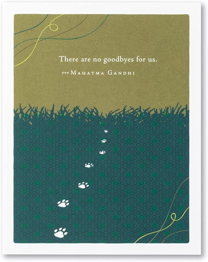 Compendium Positively Green 4-Pack of Pet Sympathy Cards – Assorted (Four Different Designs, One Card Each, with Envelopes)