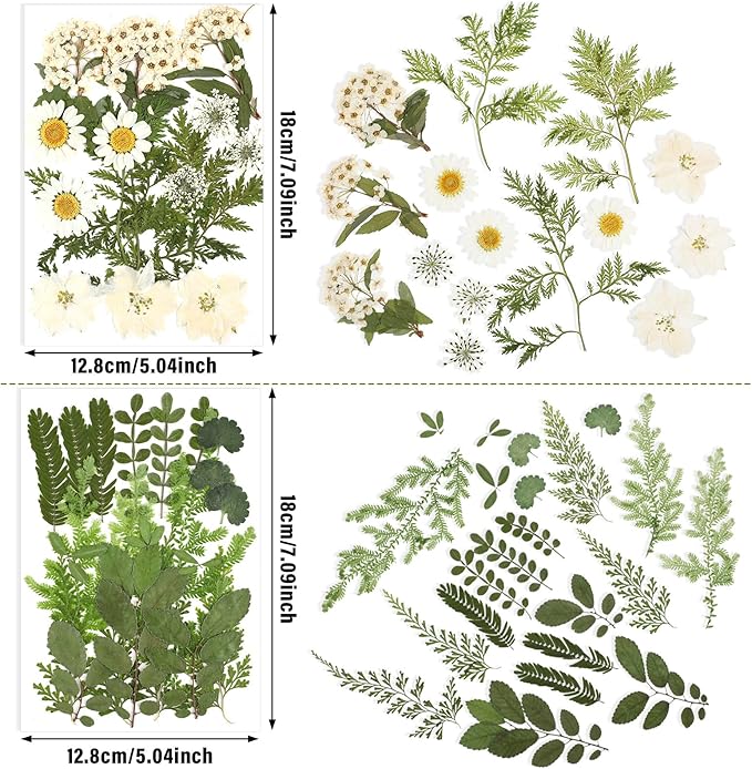 Nuanchu Pressed Flowers for Crafts Resin Dried Flower Bulk White Natural Dried Wildflowers Daisy with Tweezer for Resin Mold Candles Cake DIY Christmas Craft Card Making Wedding Scrapbooking Supplies