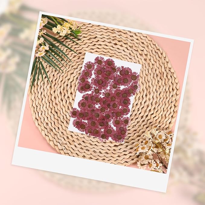 60-Pack Dried Pressed Flowers for Resin, Real Natural Bulk Dry Floral for Crafts/DIY Jewelry/Soap Making/Scrapbooking/Handmade Candle/Epoxy Resin Supplies [Rose Pink]