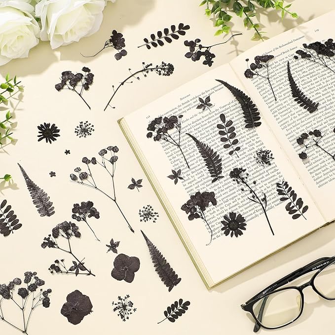 Fabbay 200 Pcs Dried Pressed Flowers Real Dry Natural Flower Leaf Dried Flowers for Resin Pressed Flower Kit for Plant Herbarium Scrapbooking DIY Candle Crafts (Black)