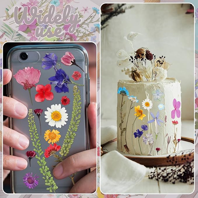 Nuanchu Small Dried Flower for Craft Resin Mini Pressed Flowers Bulk Real Tiny Dried Wildflower Leave Natural with Tweezer for Nail Scrapbooking Soap Candle Cake Card Making DIY Christmas Craft Supply