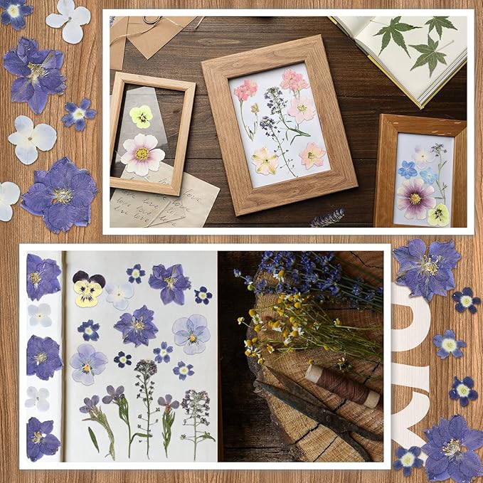 Nuanchu Dried Pressed Flowers for Crafts Resin Pressed Flowers Bulk Purple Dried Wildflowers Leave Natural with Tweezer DIY Christmas Crafts Supplies for Resin Mold Scrapbooking Nail Soap Making