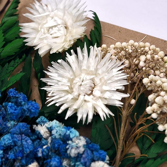 DALARAN Dried Pressed Flowers for Soap Candle Making and Resin Jewelry Making Pressed Leaves (Purple Blue Set)