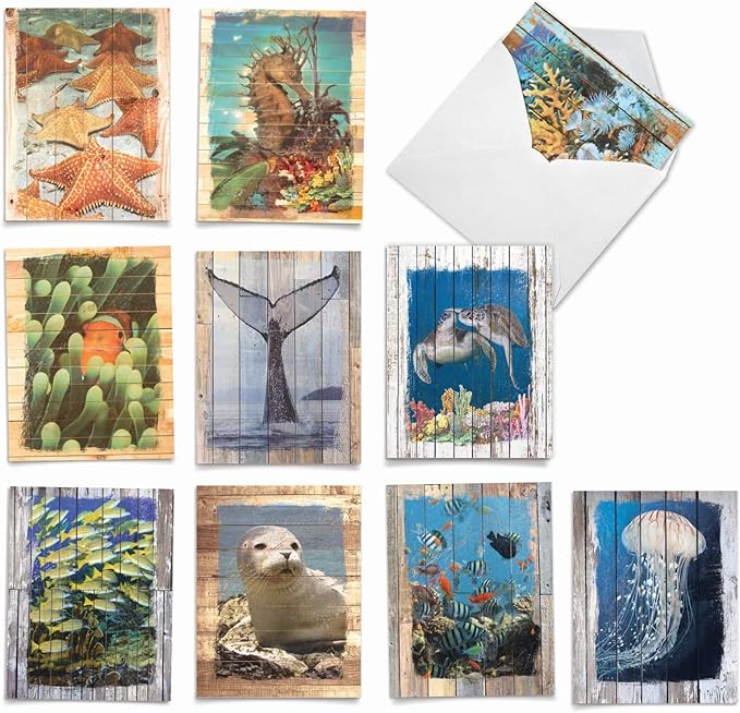 The Best Card Company - 10 Blank Note Cards with Envelopes (4 x 5.12 Inch) - Bulk All Occasion Cards Boxed - Ocean Driftwood Transfers AM6331OCB-B1x10