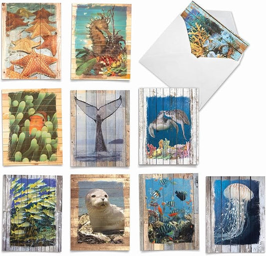 The Best Card Company - 10 Blank Note Cards with Envelopes (4 x 5.12 Inch) - Bulk All Occasion Cards Boxed - Ocean Driftwood Transfers AM6331OCB-B1x10