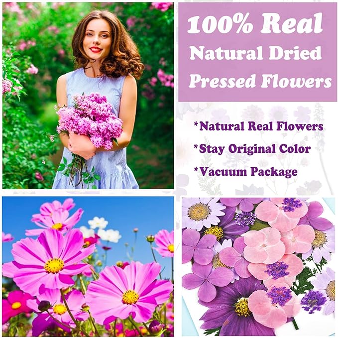92 Pcs Purple Dried Pressed Flowers Real Natural Leave Petals for DIY Resin Candle Jewelry Nail Crafts