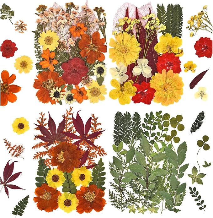 DALARAN 75 PCS Fall Natural Dried Flower for Soap Making, Candle Making and Resin Jewelry Making Pressed Flower Art Floral Decors