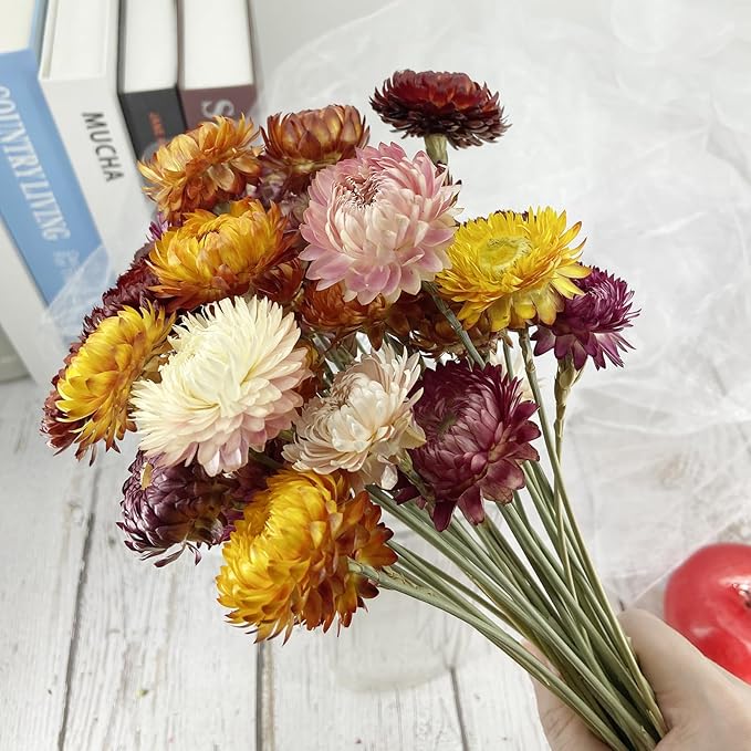 L'BREVOGA Dried Flowers with Stem, 36 PCS Strawflower Daisy in 16 inches, Dried Flower for Floral Arrangments Home Decoration (Strawflower Mix)