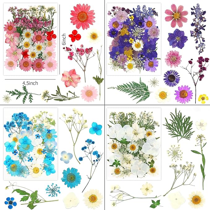 170Pcs+ Real Dried Pressed Flowers Leaves Petals for Crafts-Beautiful Pressed Flowers Daisies for Resin Jewellery, Pressed Flowers Nail Pendant Crafts Making Craft DIY Accessories with 1pcs Tweezers