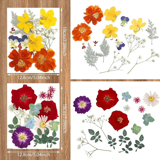 Nuanchu Dried Flower for Resin Crafts Pressed Flowers Bulk, Real Dried Wildflowers Leave Natural with Tweezer for Resin Mold Scrapbooking Nail Soap Candle Card Making DIY Christmas Crafts Supplies